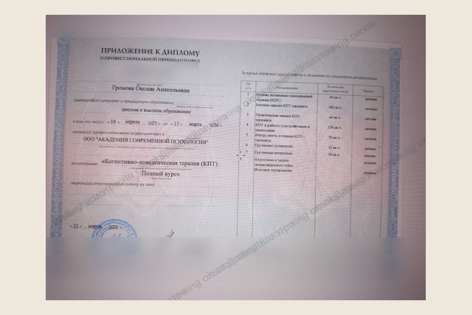 Preview of CBT retraining diploma supplement