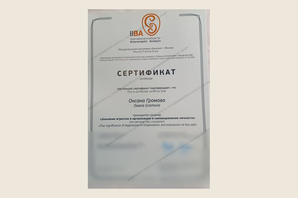 Preview of IIBA certificate, 18-hour seminar 2019