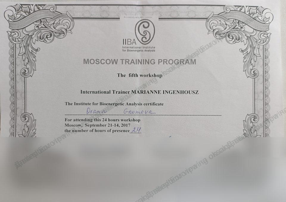 IIBA fifth workshop certificate, 2017
