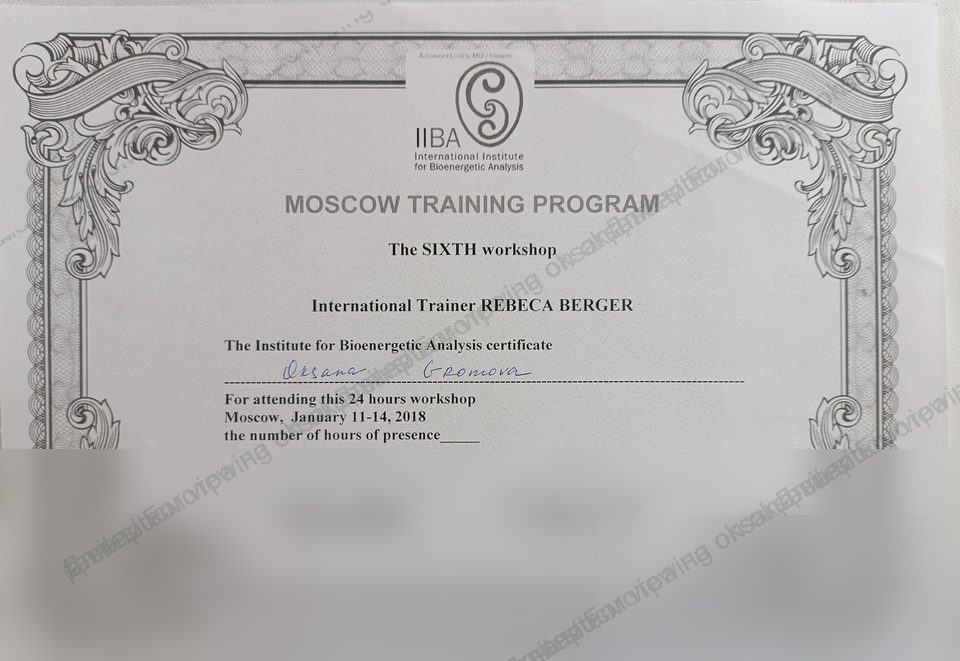 IIBA sixth workshop certificate, 2018