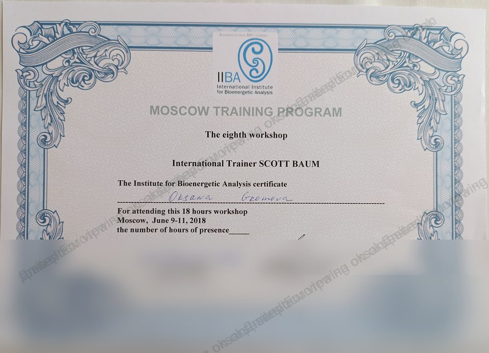 IIBA eighth workshop certificate, 2018