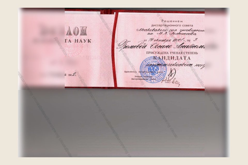 Preview of PhD diploma from MSU